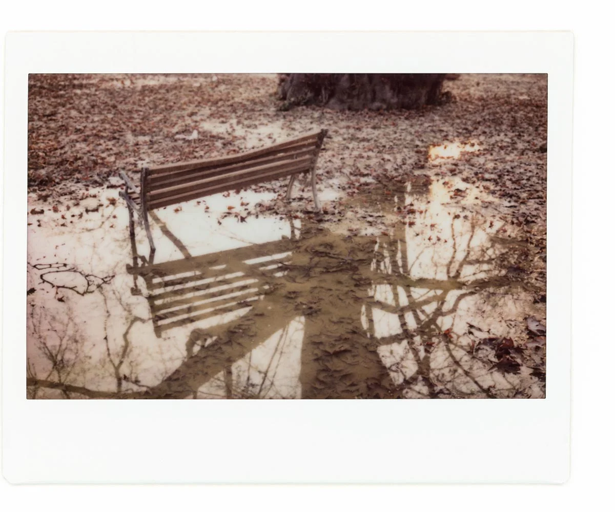 Karan Kumar Sachdev - In the shadow of the Chinar01.jpg
