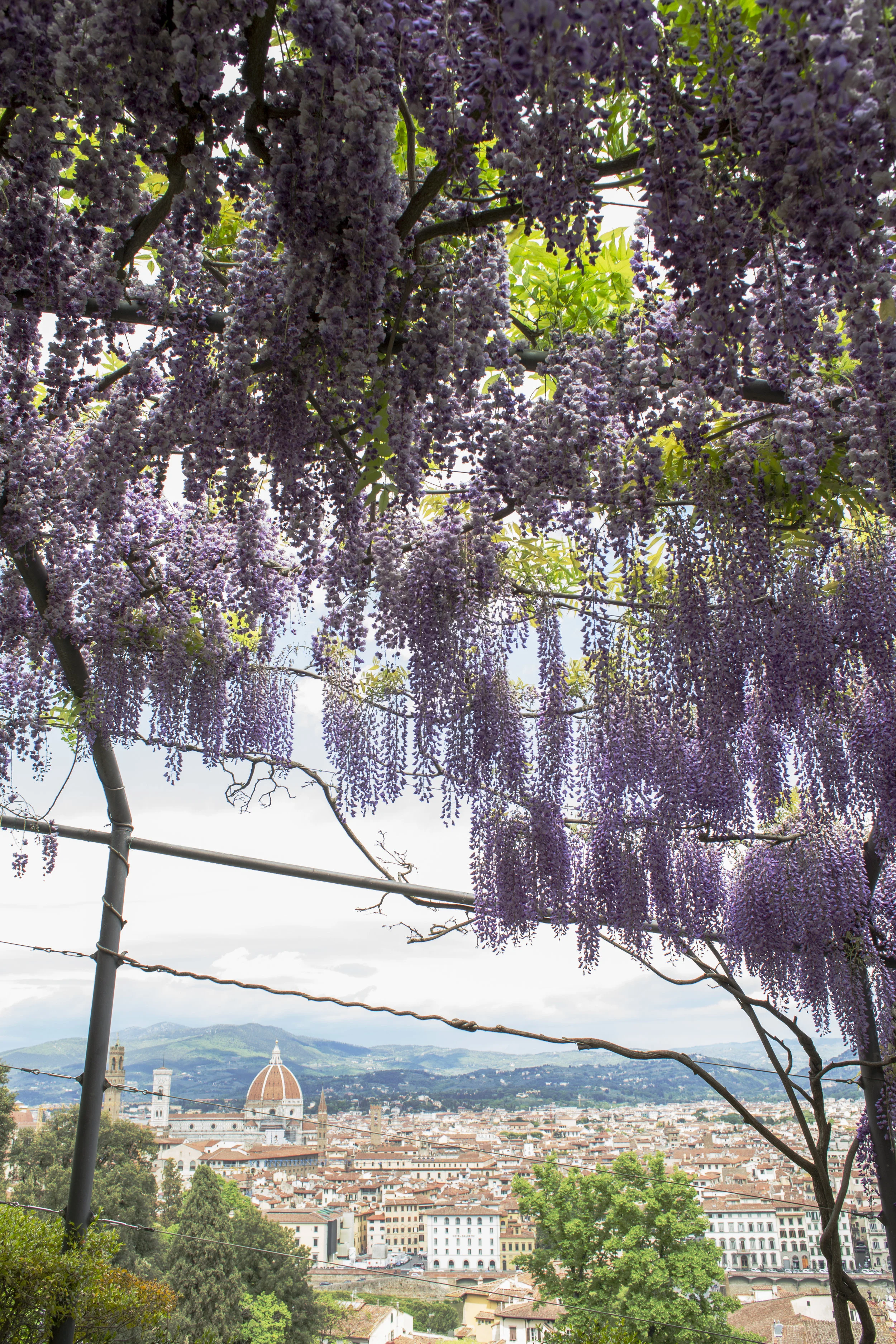 FLORENCE