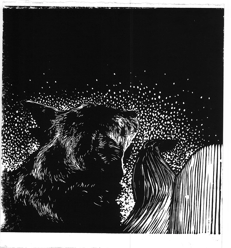 scan349.jpg