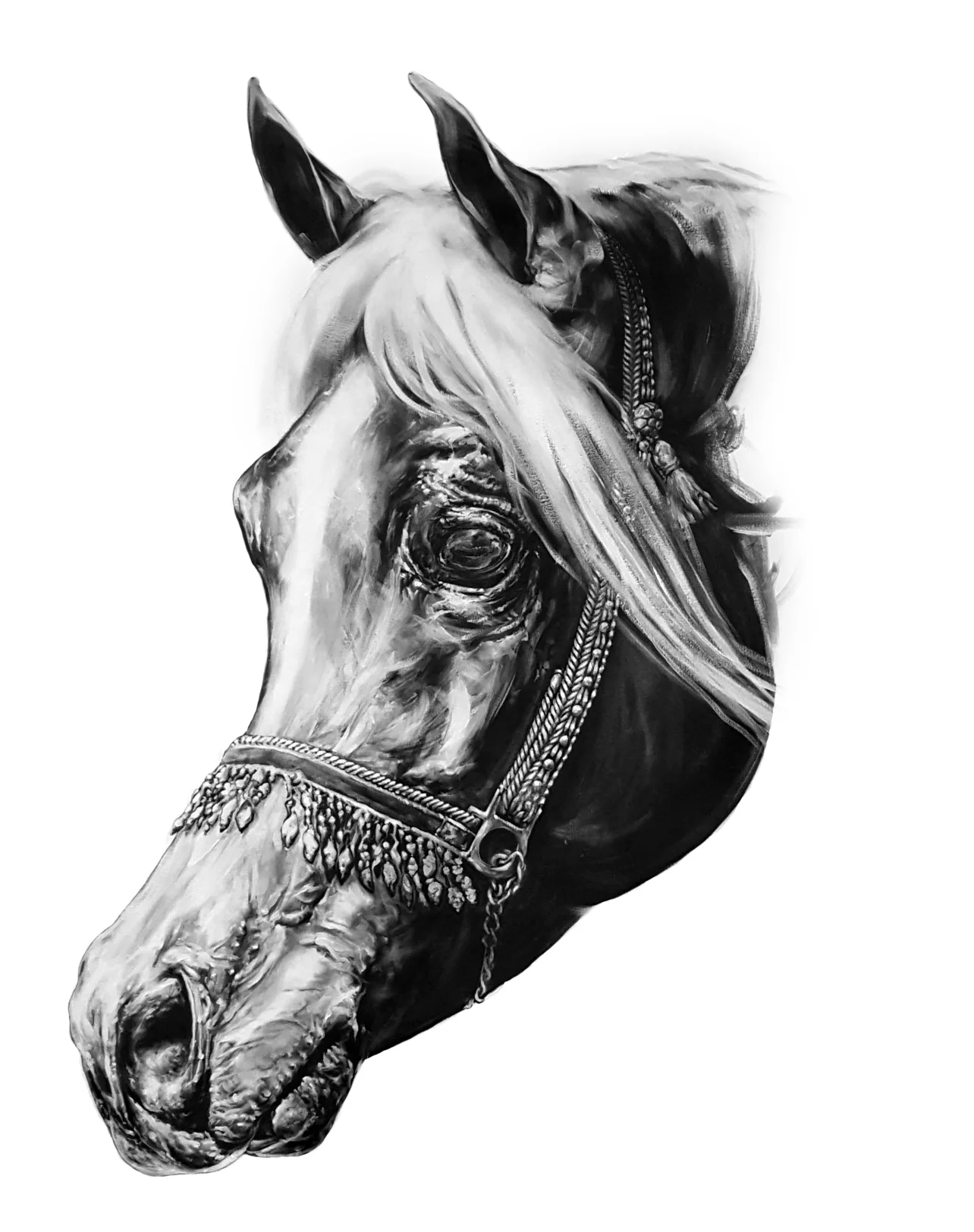Study of KA Damascus. 2017. Graphite and Oil on 14 OZ Canvas. 240 x 240 cm.