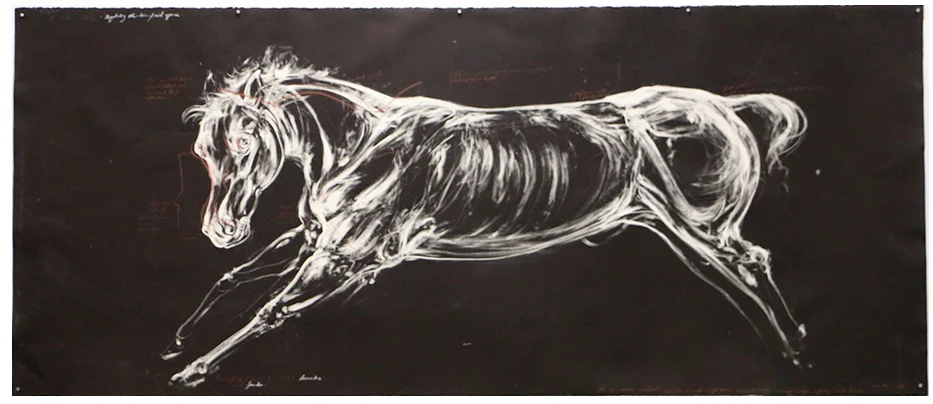 Study of a Warless Horse. 2016. Monotype and conte on BFK Paper. 250 x 120 cm. AVAILABLE.&nbsp;
