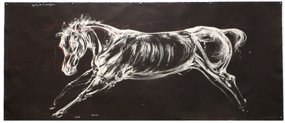 Study of a Warless Horse. 2016. Monotype and conte on BFK Paper. 250 x 120 cm. AVAILABLE. 
