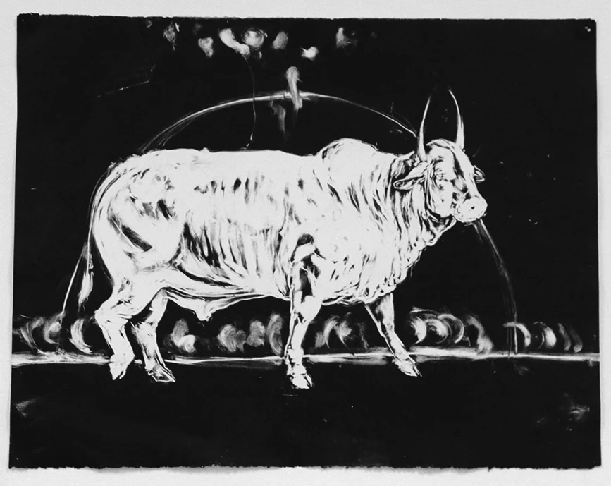 Bull Sketch. 2016. Monotype on Canson paper. 60 x 84 CM. AVAILABLE.&nbsp;