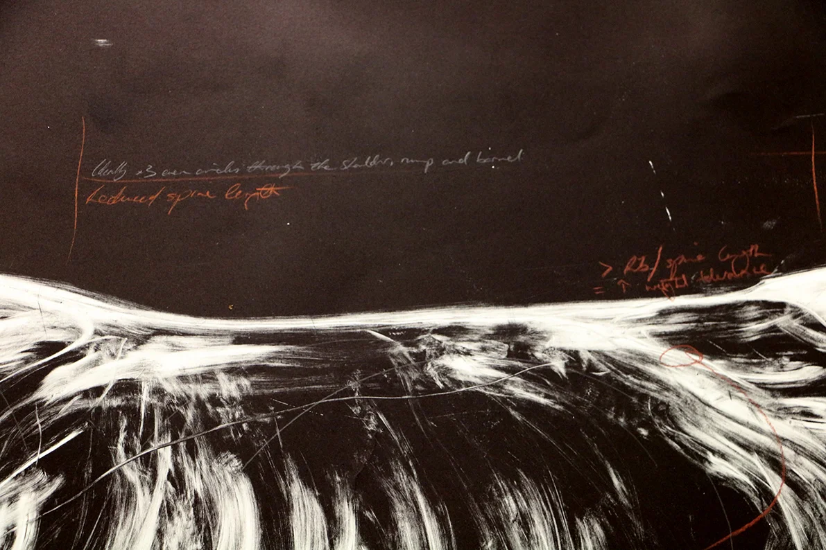 Study of a Drought Master DETAIL. 2016. Monotype and conte on BFK Paper. 250 x 120 cm. SOLD: Perth, Australia.&nbsp;