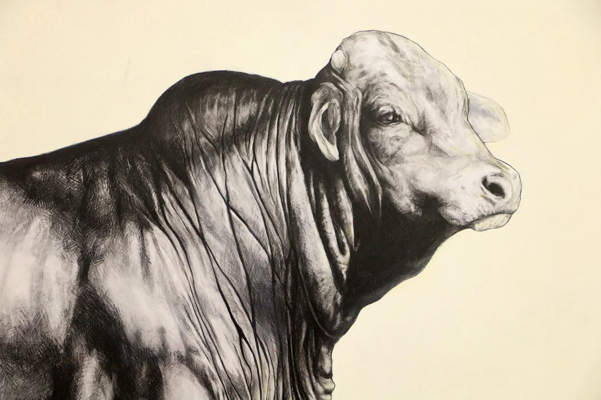 The Drought Master DETAIL. 2016. Oil and Graphite on board. 204 x 82 CM. SOLD: Perth, Australia.