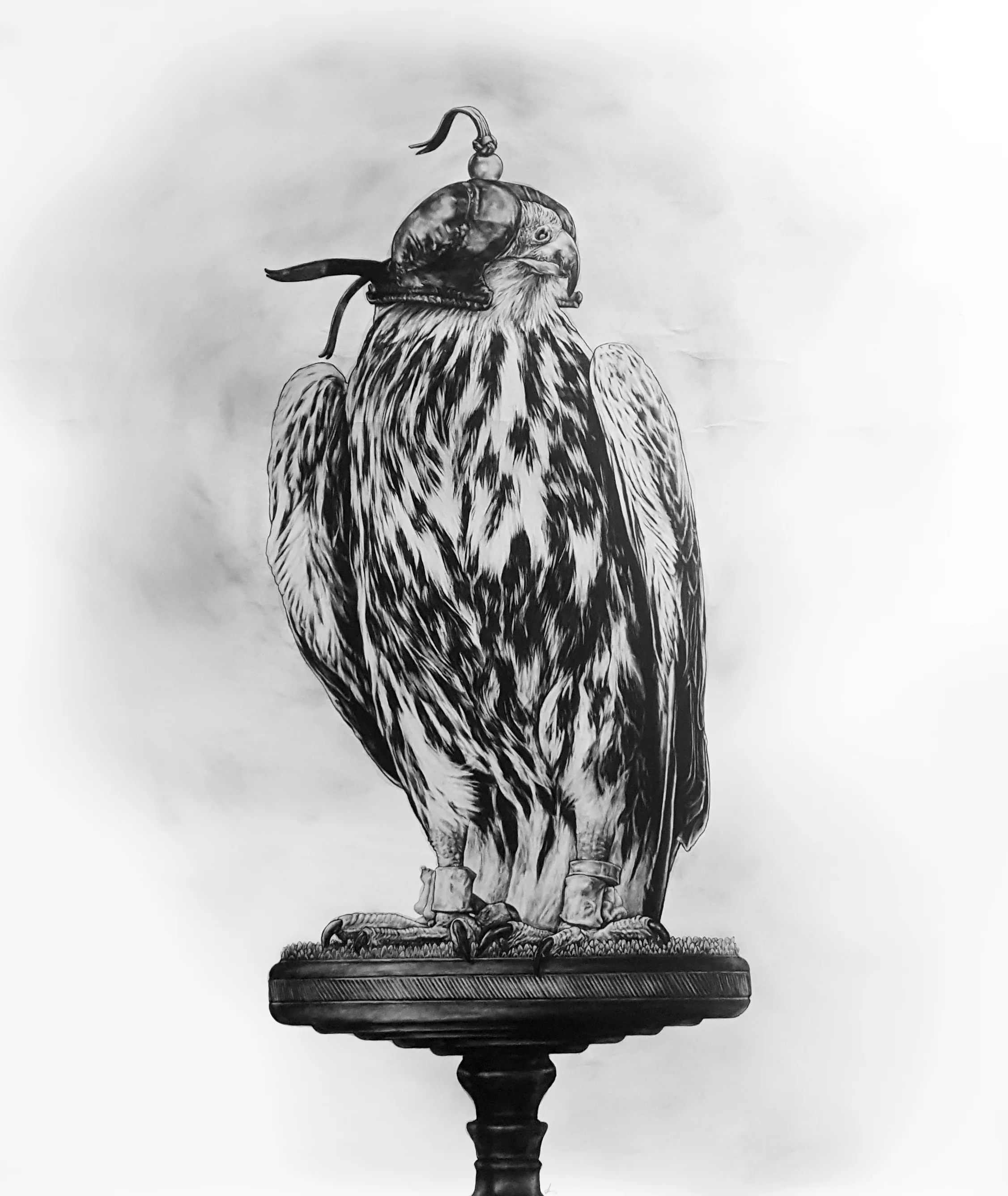 Hooded Falcon. 2017-18. Graphite on 300GSM Fabriano Artistico Paper (140 x 120cm) SOLD