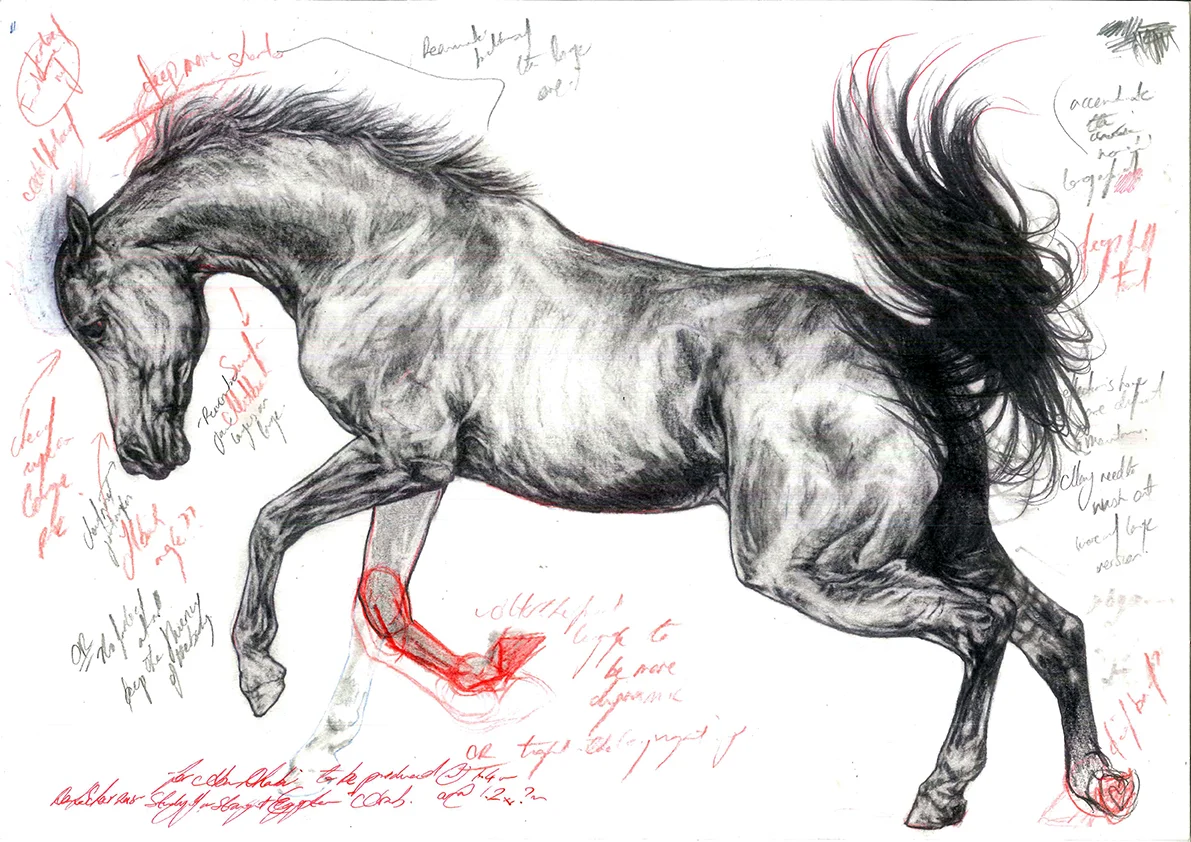 Study of a Lunging Arabian Stallion
