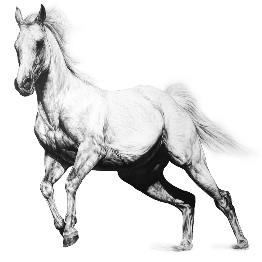 Lunge