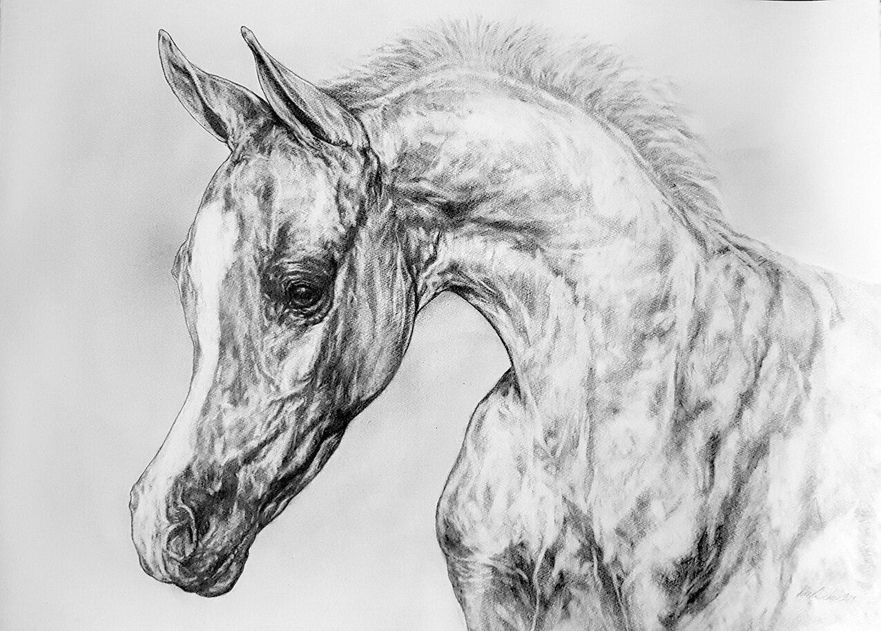 Arabian horse Watercolour by Kakajan Charyyev | Artfinder