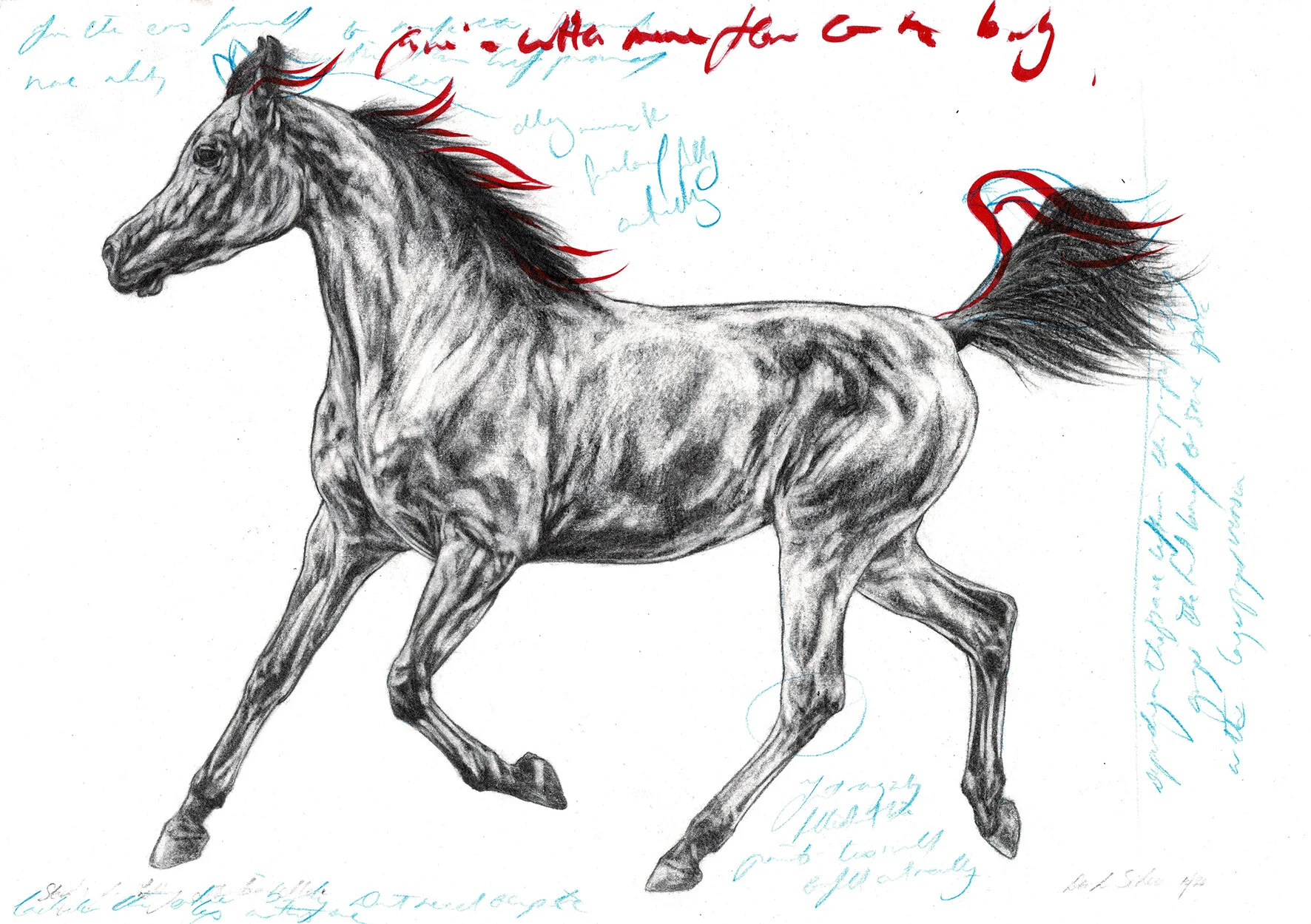 CCF_000005.sml.jpg