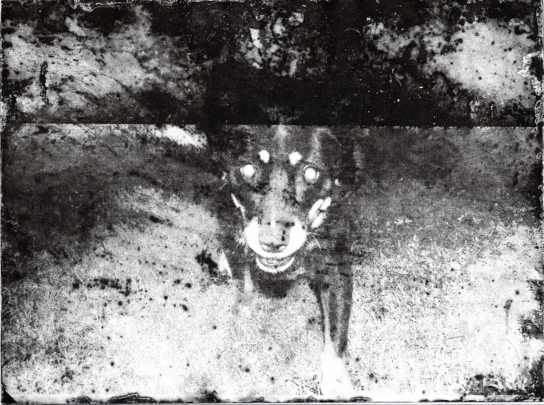 CCF_000034.sml.jpg