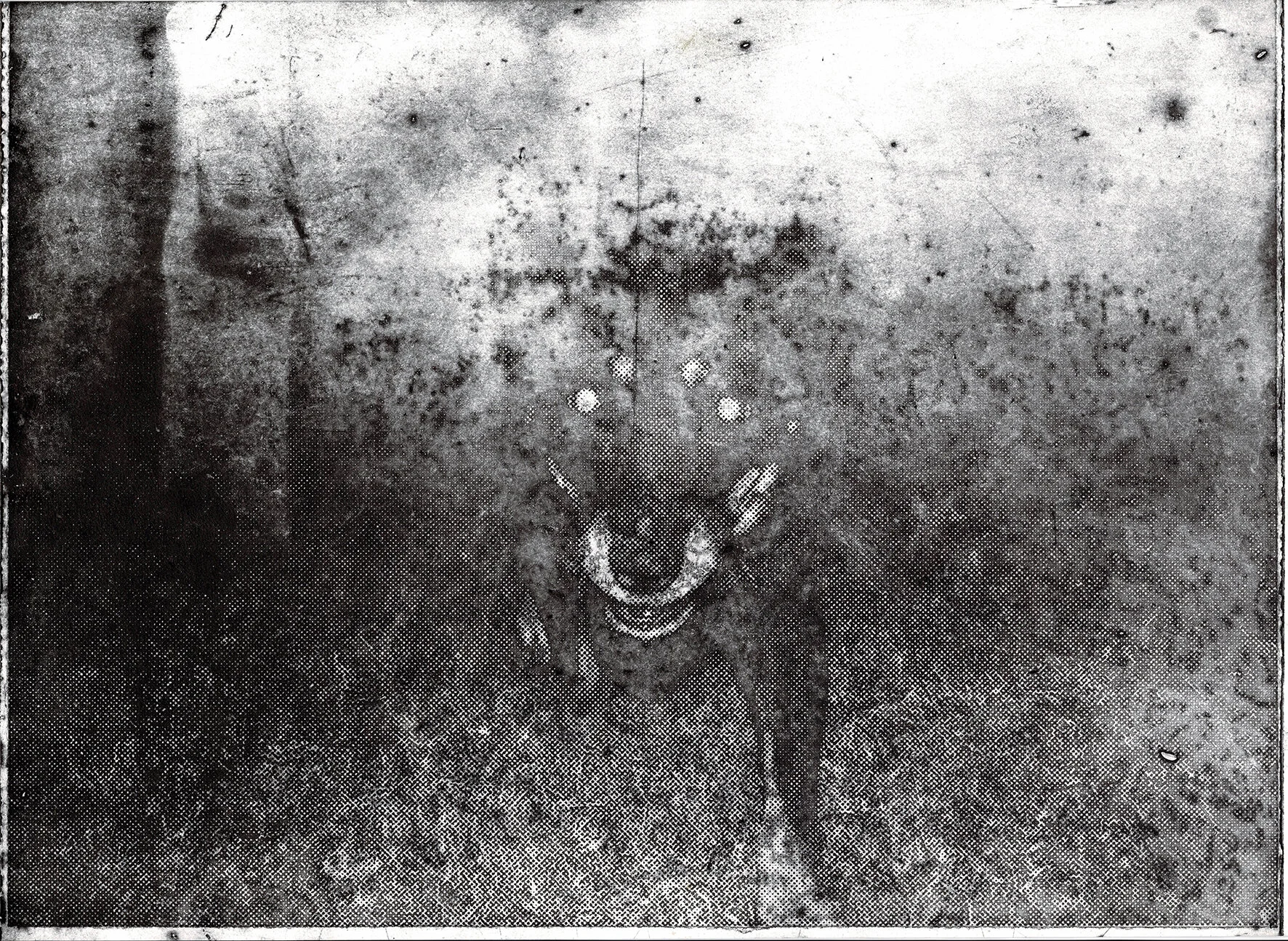 CCF_000035.sml.jpg