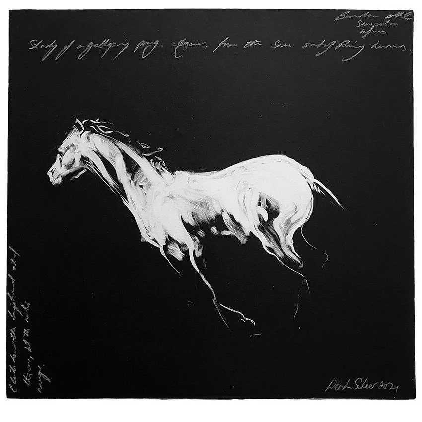 Sketch of a Galloping Pony