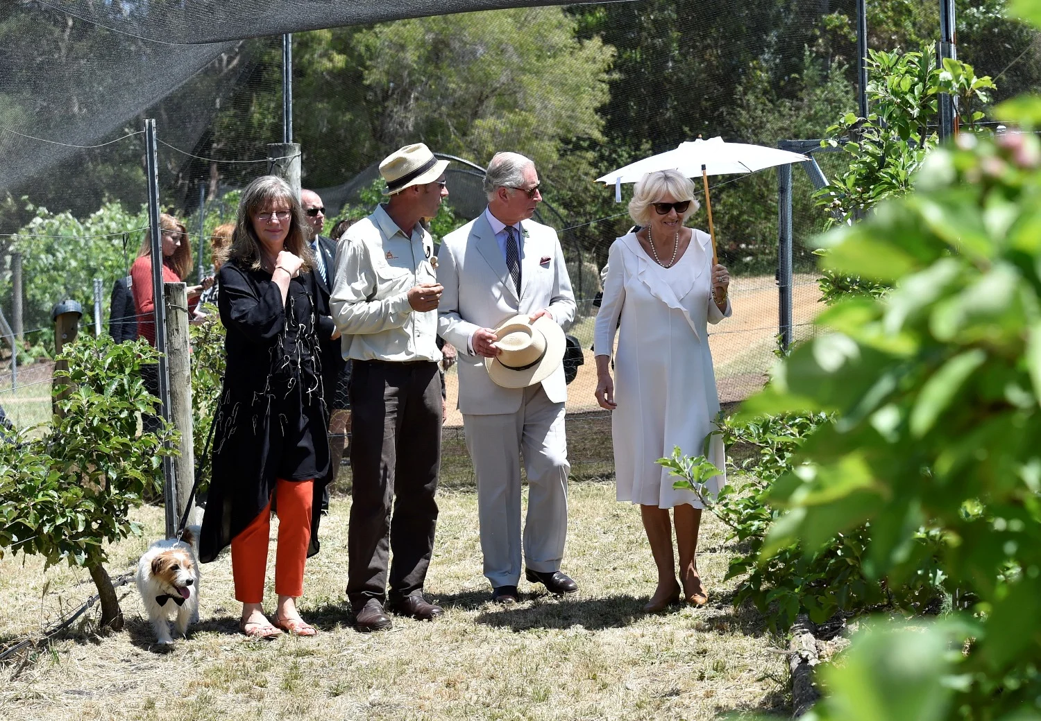 Royal Organic Orchard Tour