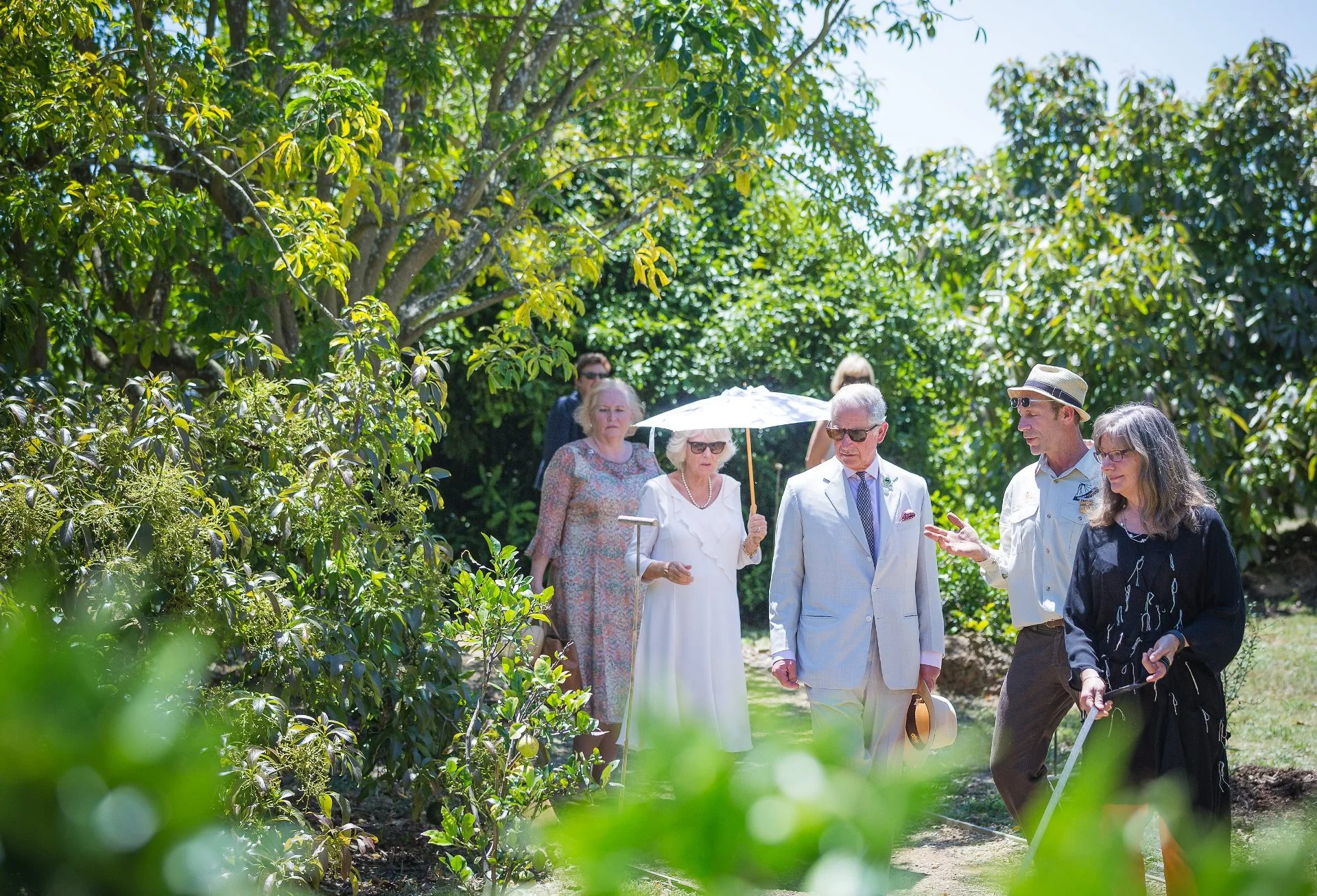 Royal Organic Orchard Tour