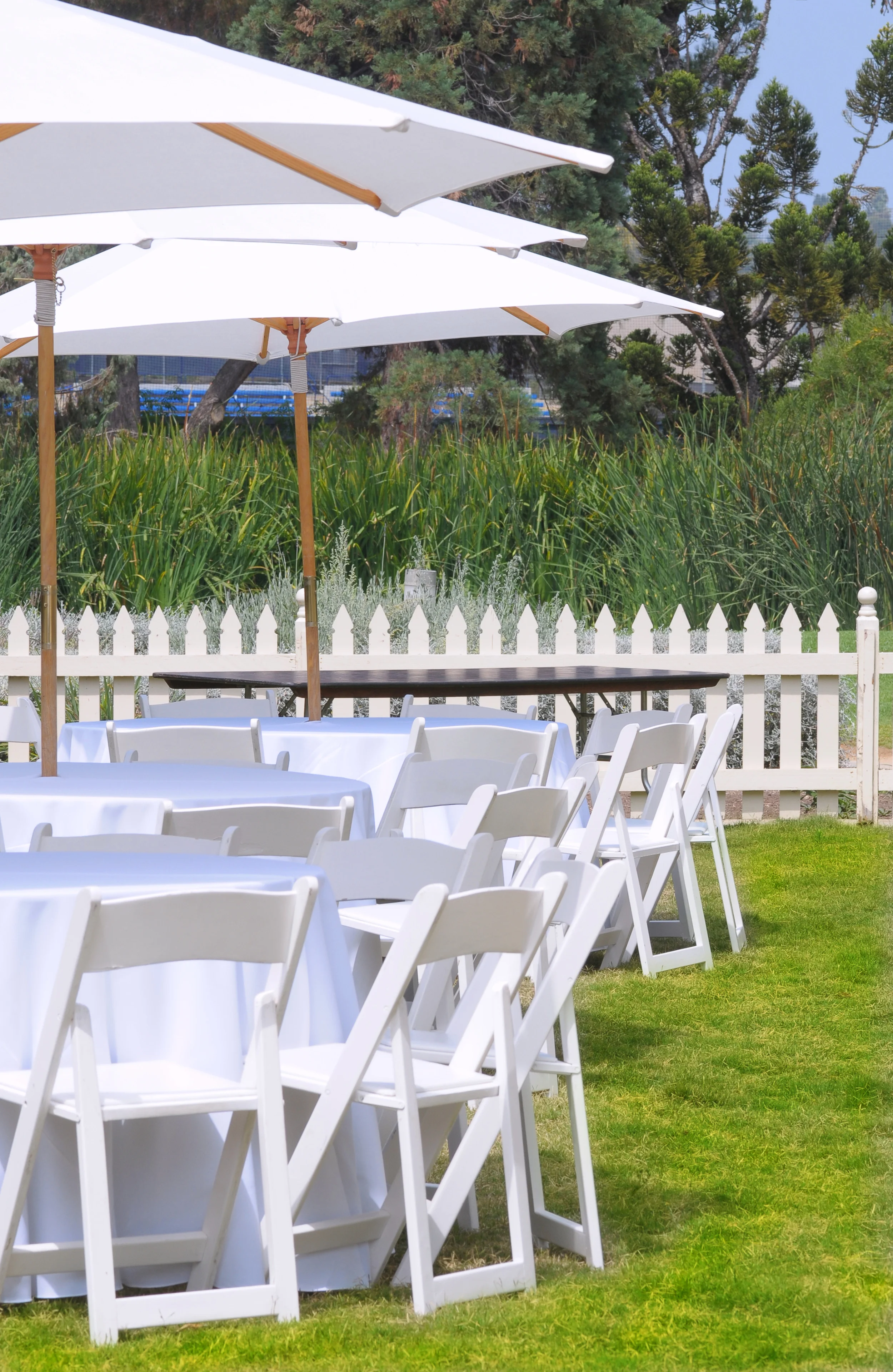 Baubar_Hochzeit_05.jpg