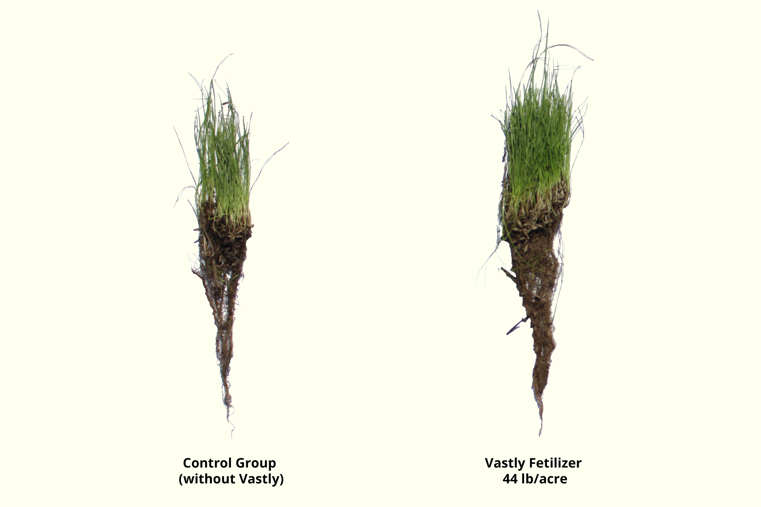 Granular Fertilizer.png