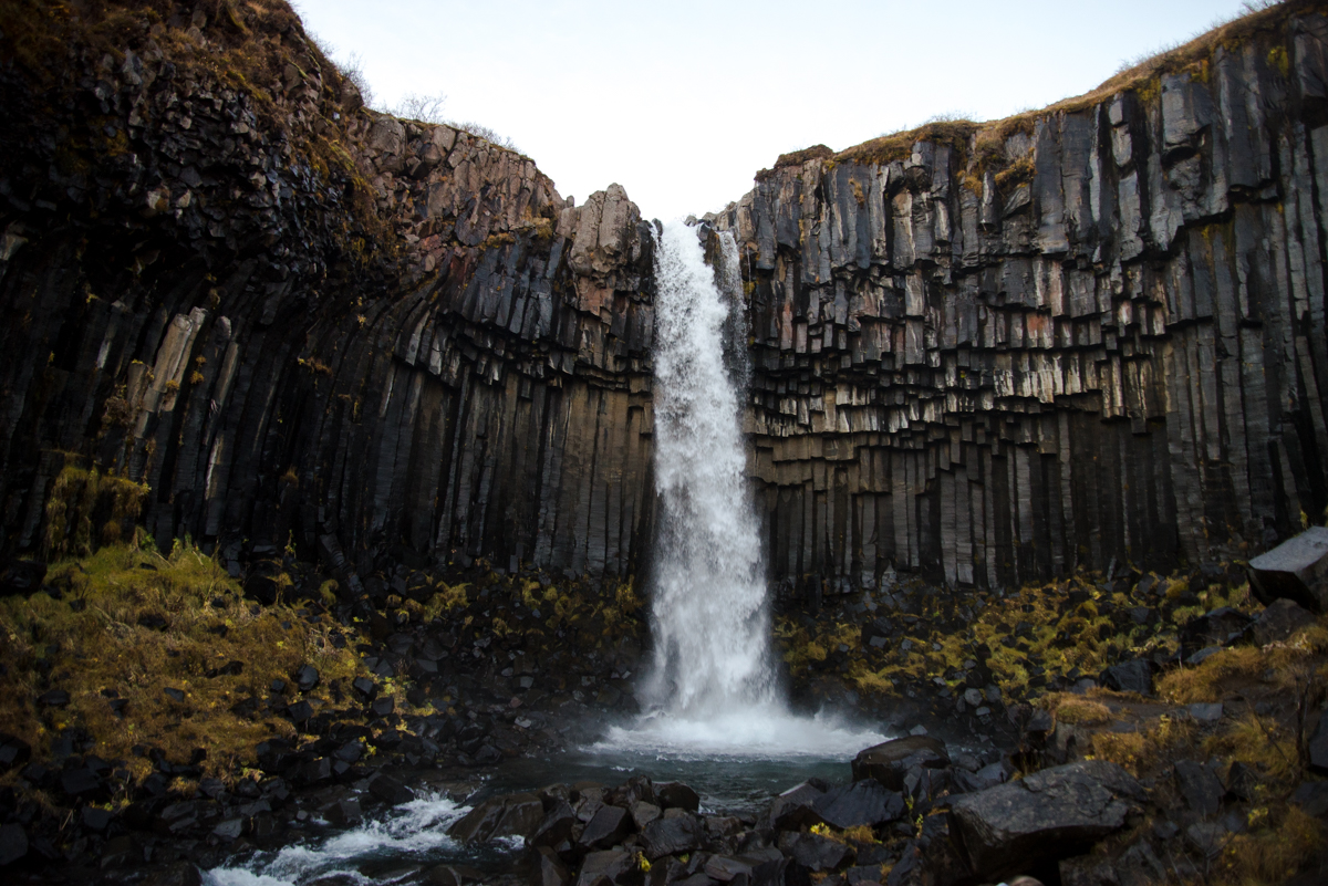 DSC_8867.jpg