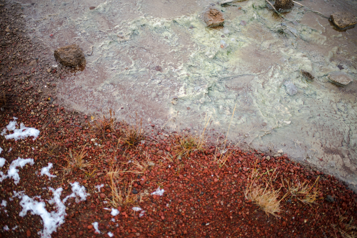 DSC_9015.jpg