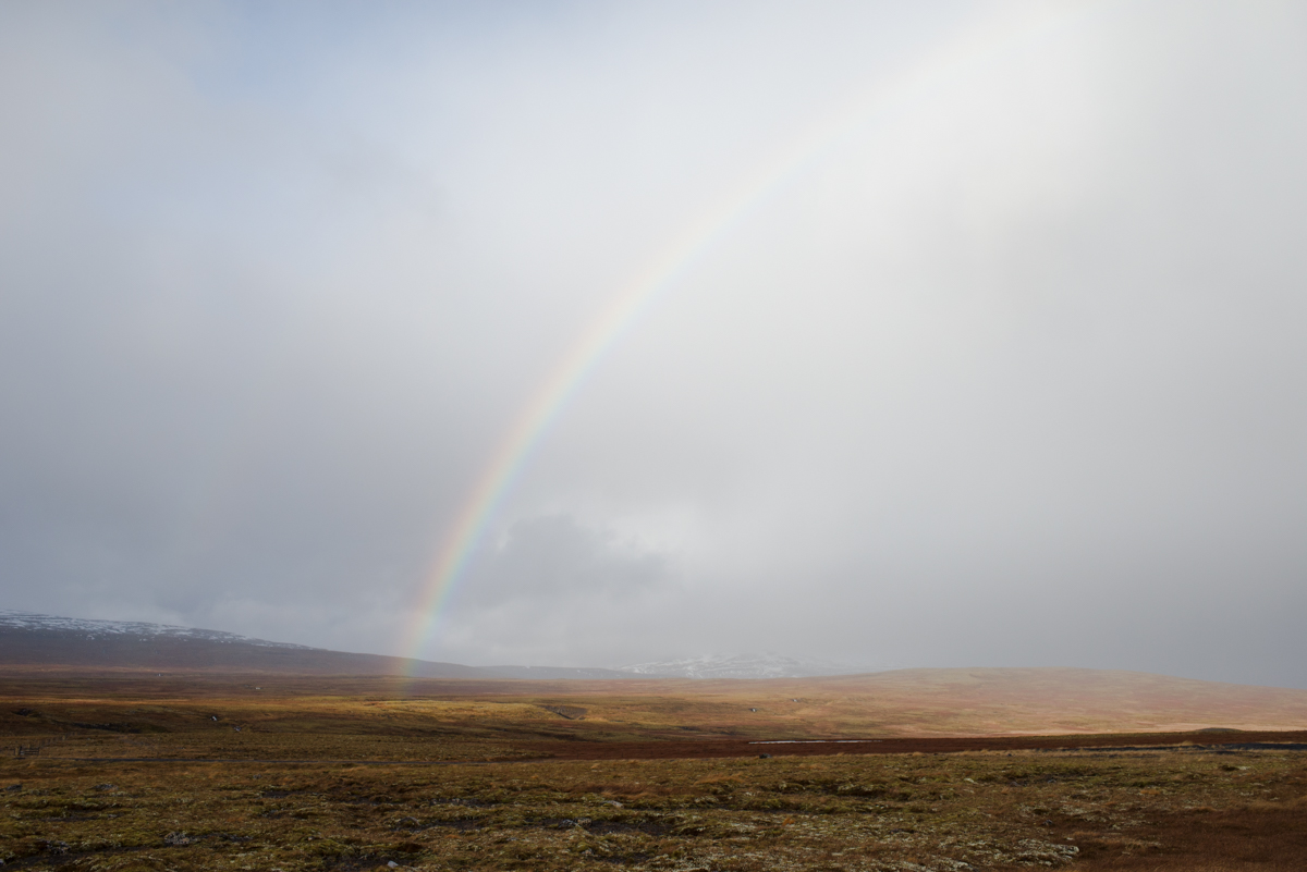 DSC_8310.jpg