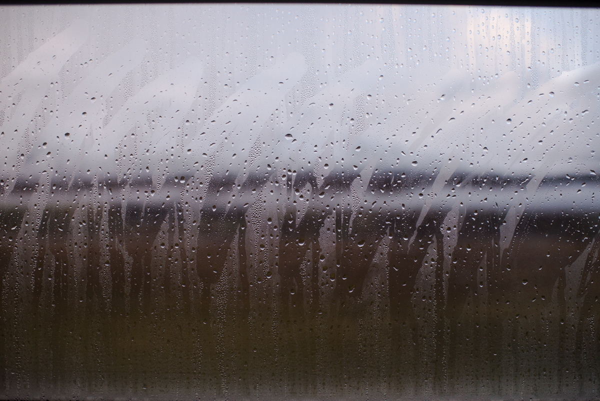 DSC_8527.jpg
