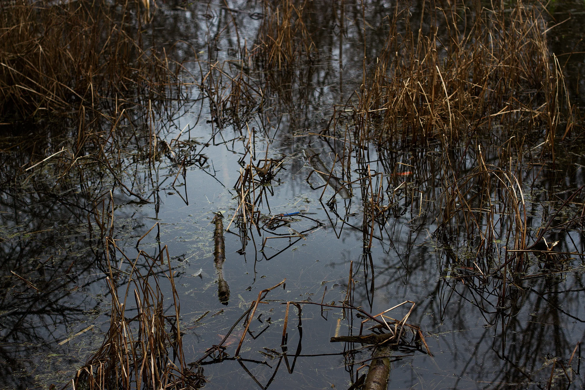 20180304-IMG_5455.jpg