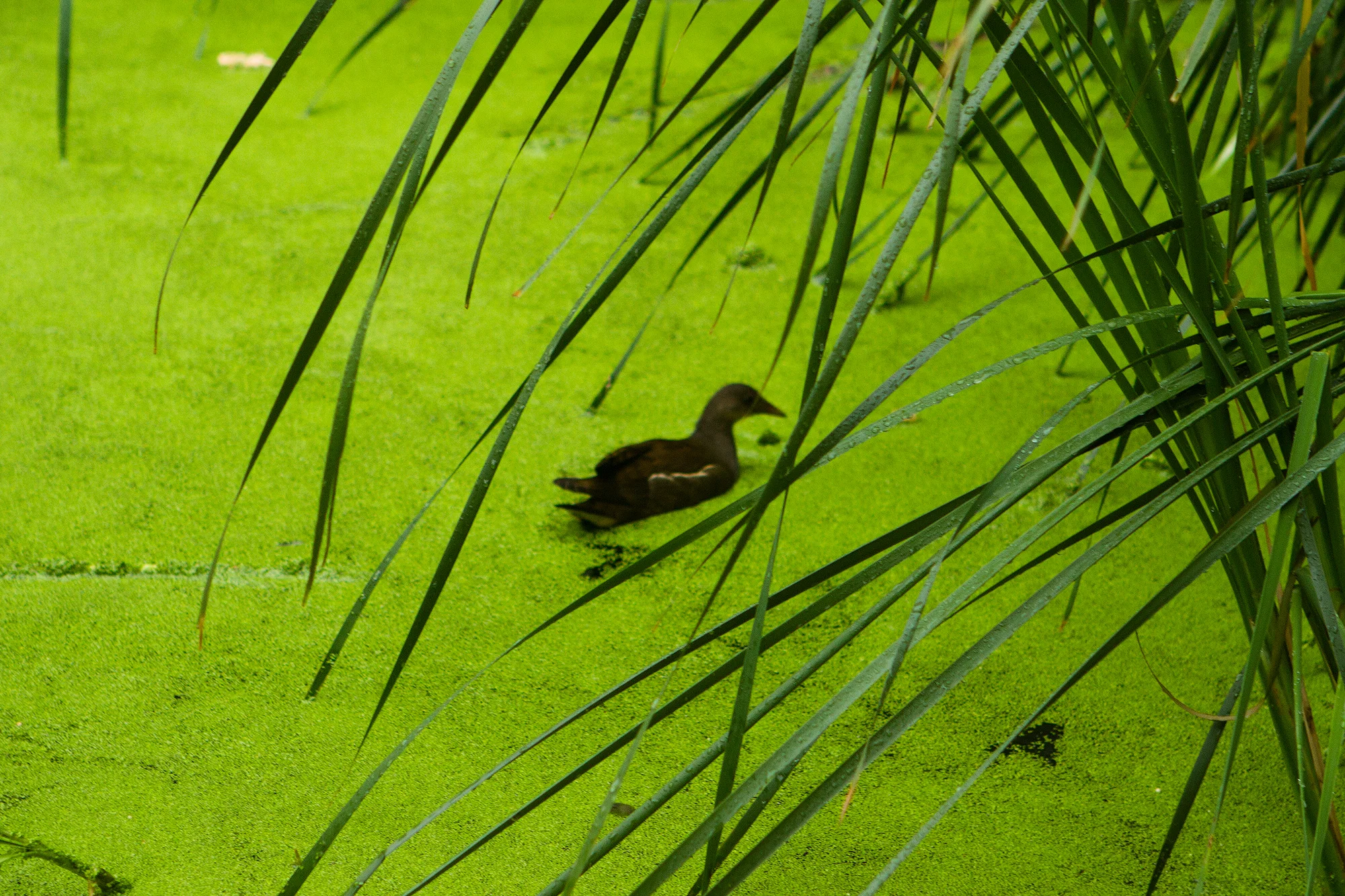 20180809-IMG_7702.jpg
