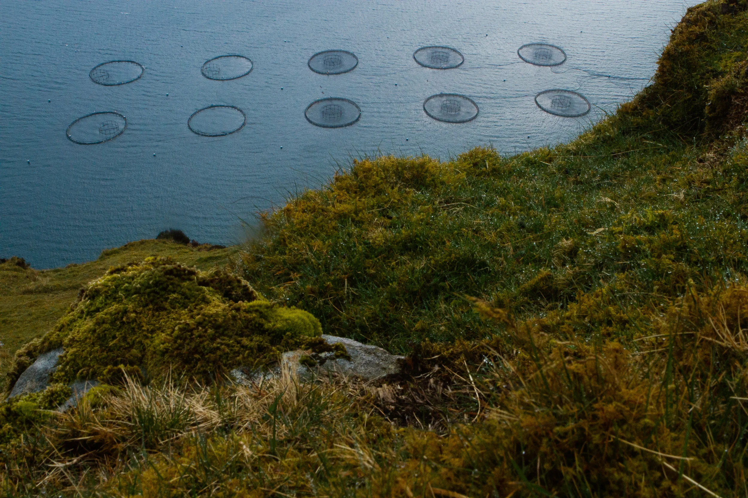 190423_Scotland-793.jpg