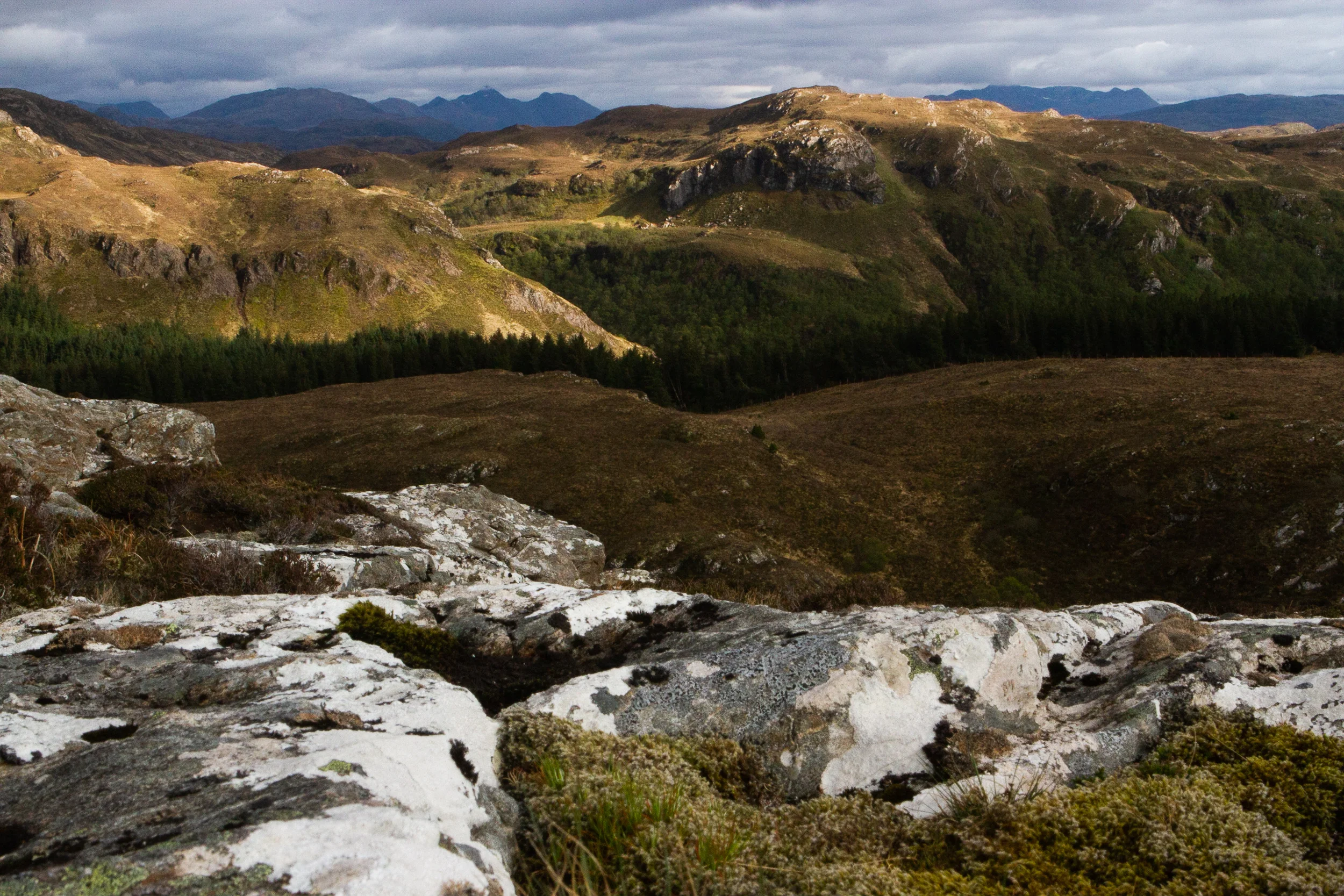 190423_Scotland-2281.jpg