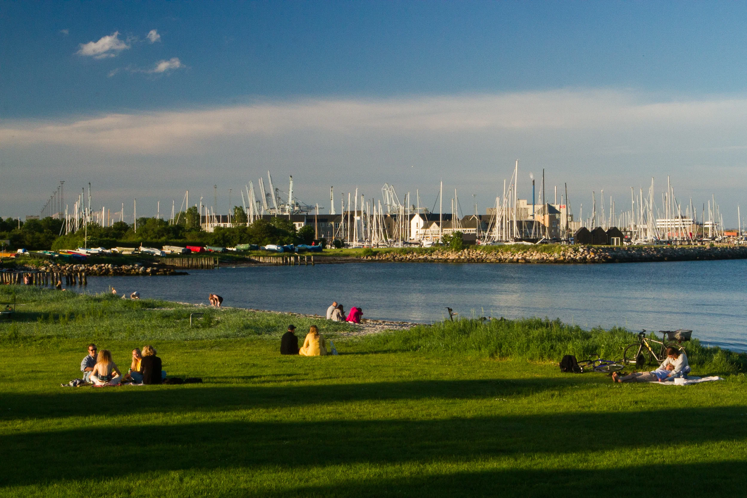190615_Aarhus_Denmark-735.jpg