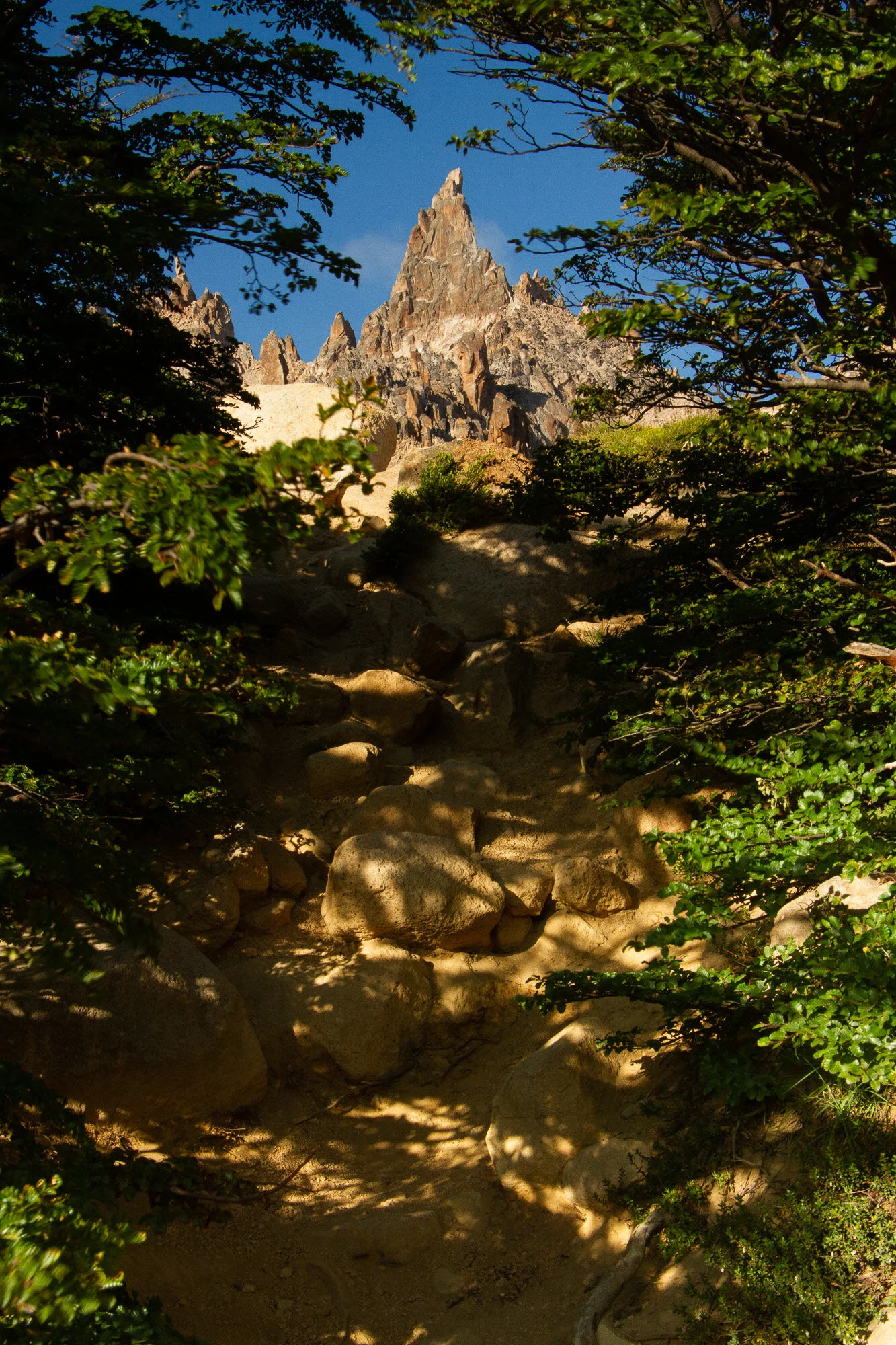 Path from camping to refugio Frey