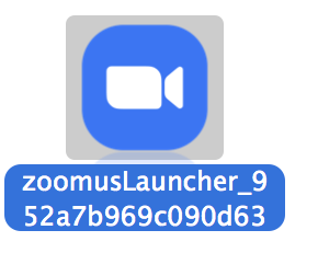 Zoom Launcher.png