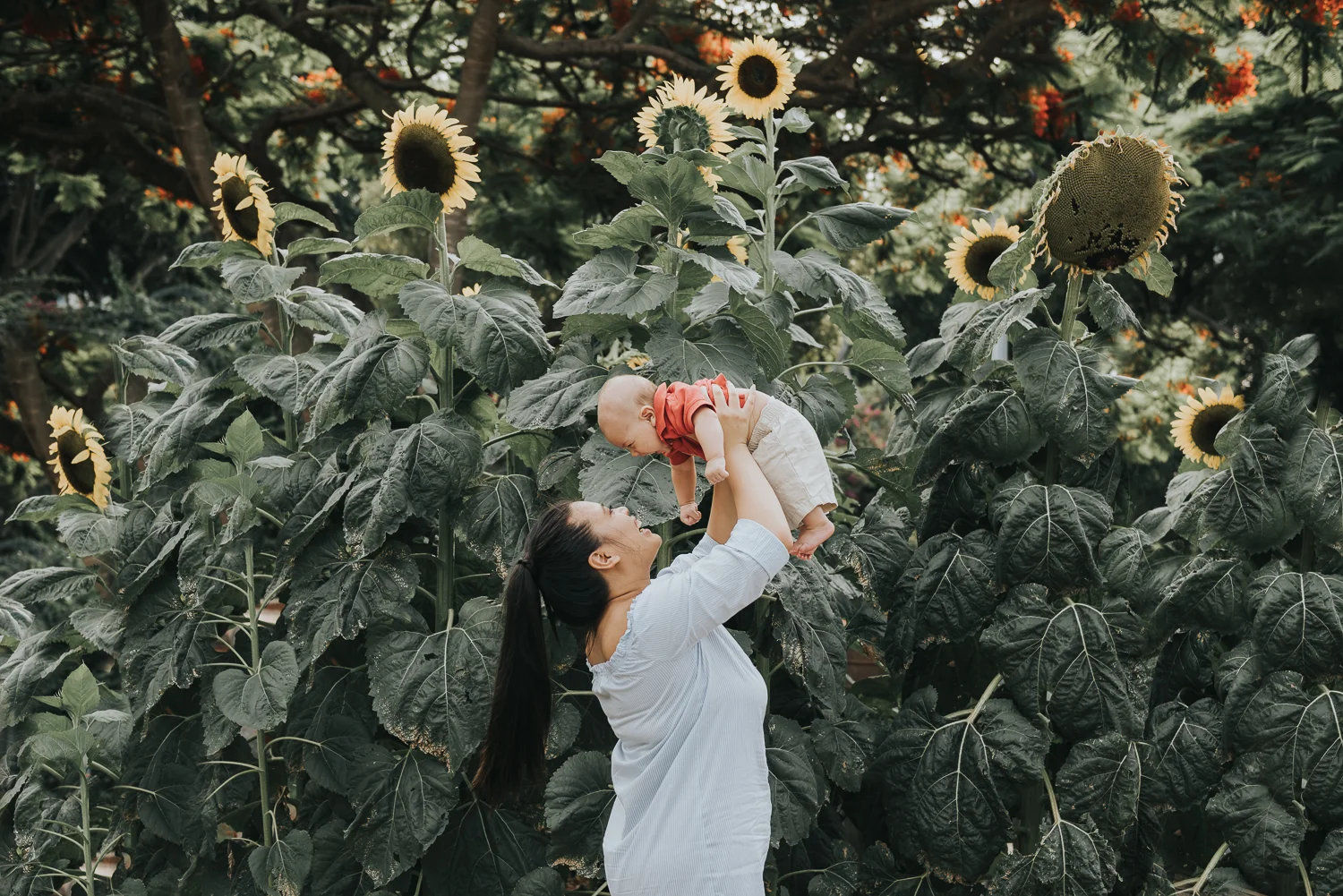 Beautiful mother with happy baby boy brisbane family photography lightsmith images