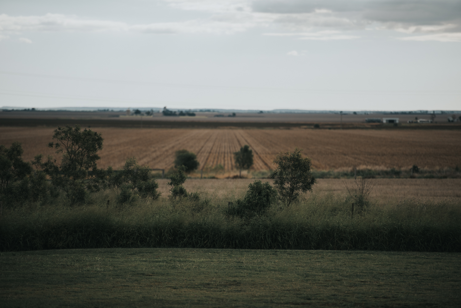 Brisbane Wedding Photographer | Engagement Photography-1.jpg