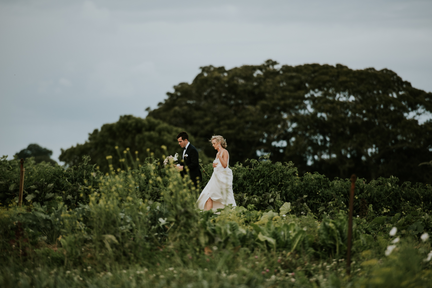 Byron Bay Wedding Photography | Fig Tree Restaurant-90.jpg