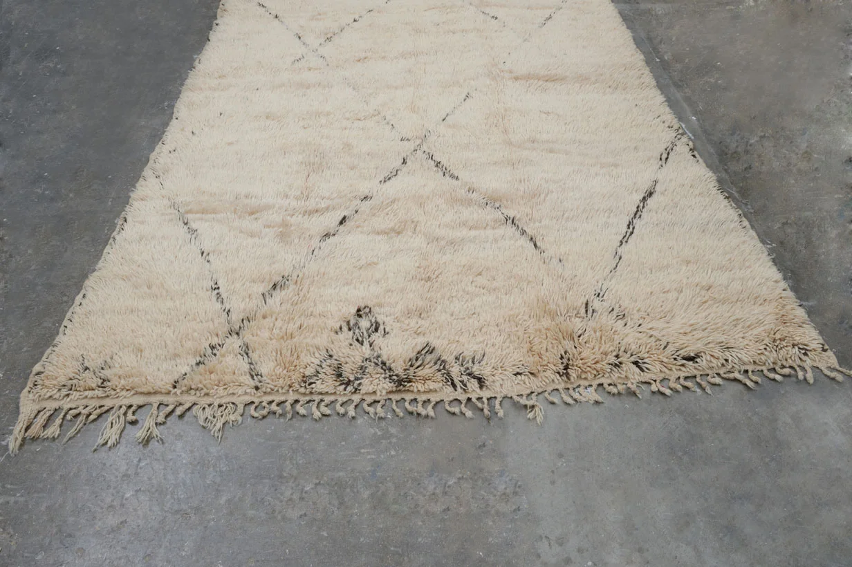 beldirugs051.jpg