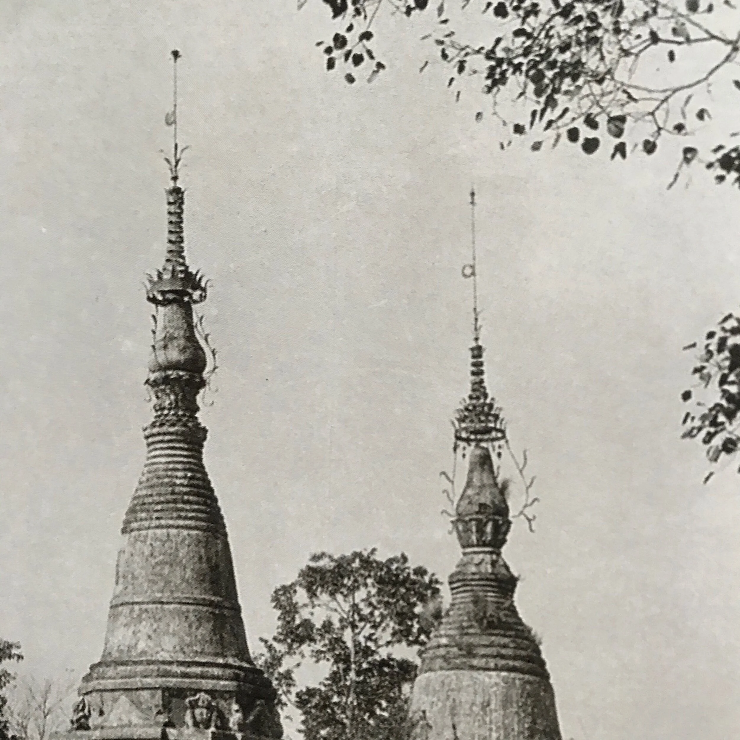 91D4AF98-5842-44FF-9A73-FDC273D9AD79