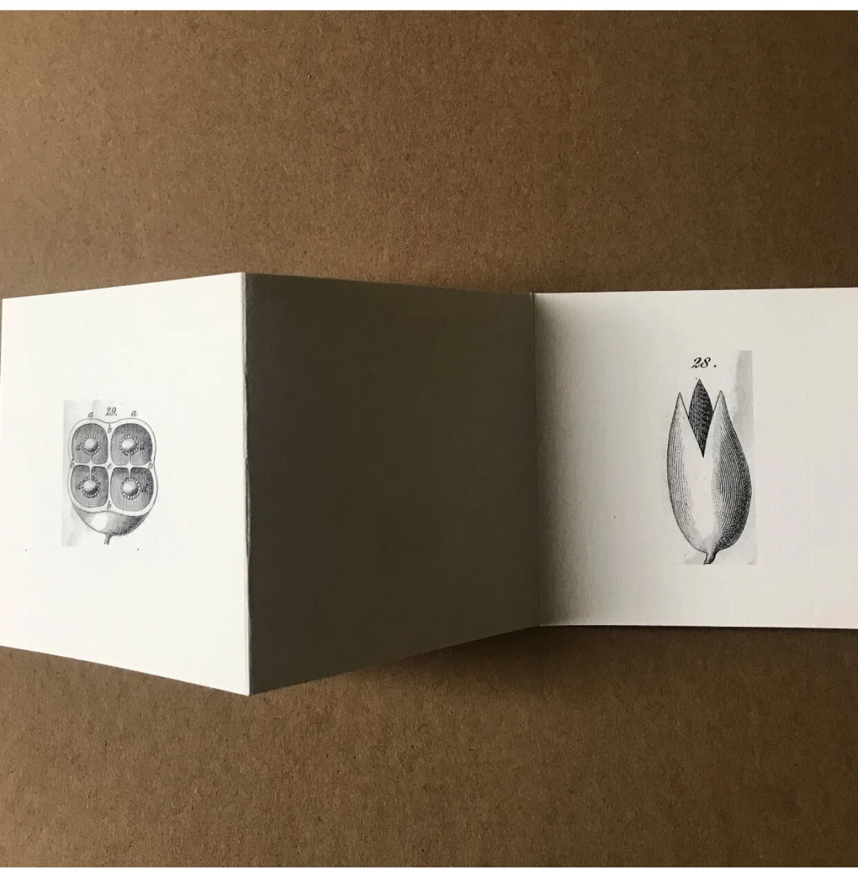 DB551753-517A-4DF0-8B87-FB1CF7F45915