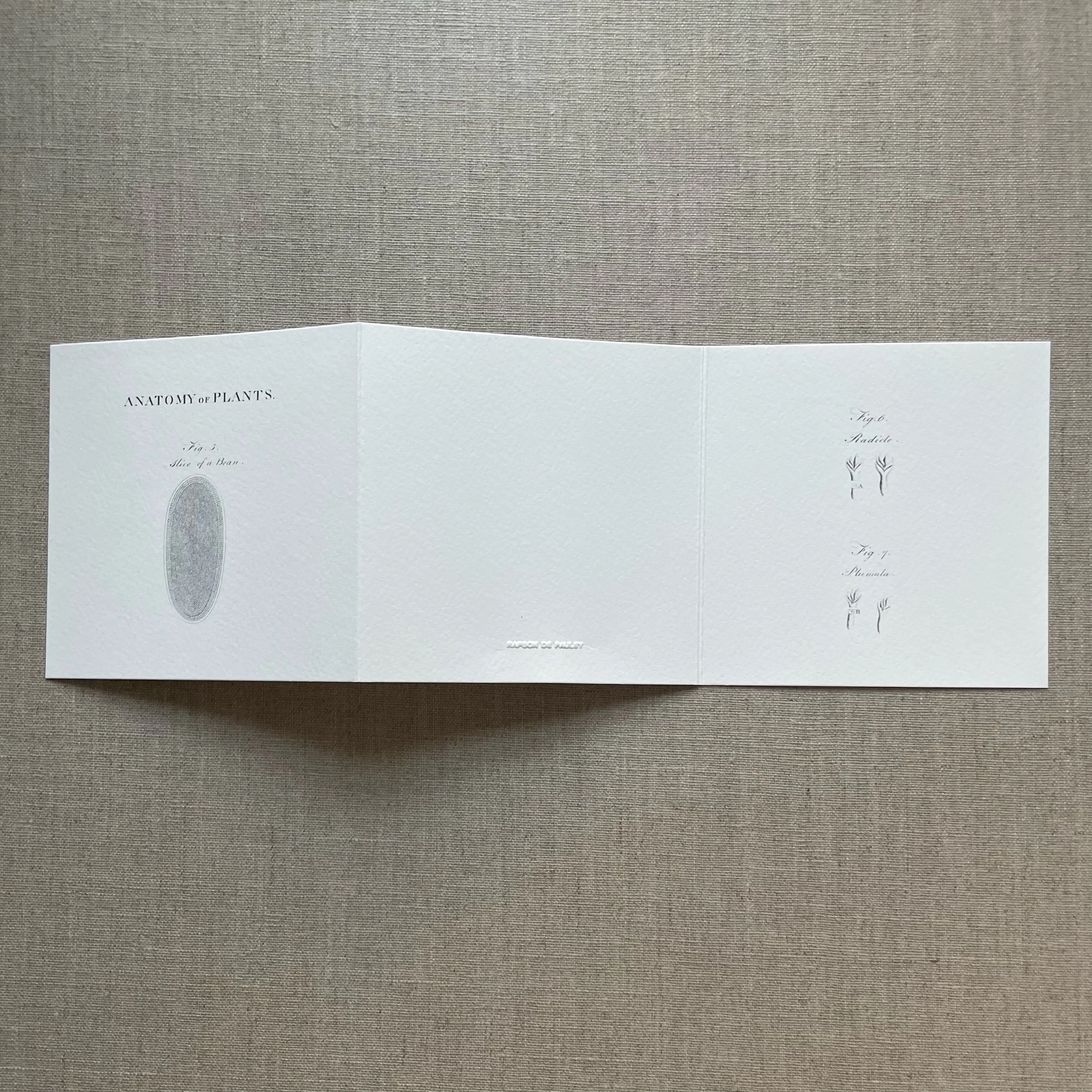 D1F2CAE0-F953-41D6-ADCF-A69536D02144.jpeg