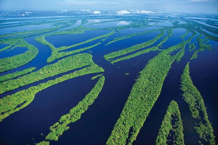 Vista aérea de la Amazonía en Brasil