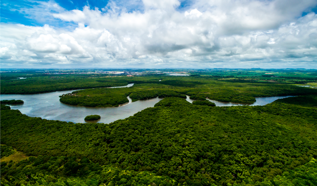 Amazonia.png