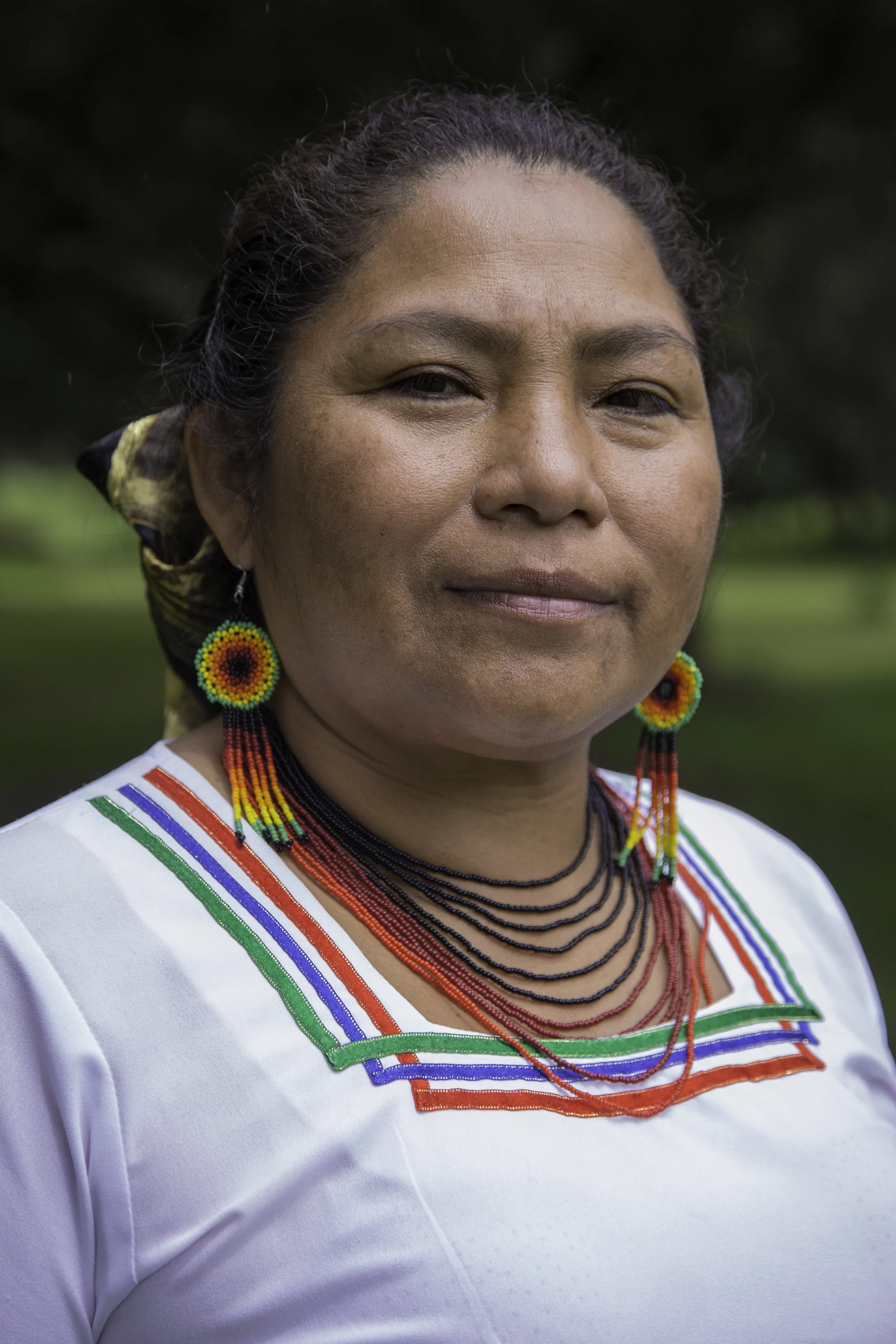 A Elvia Dagua Confeniae.jpg