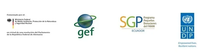 logos.jpg