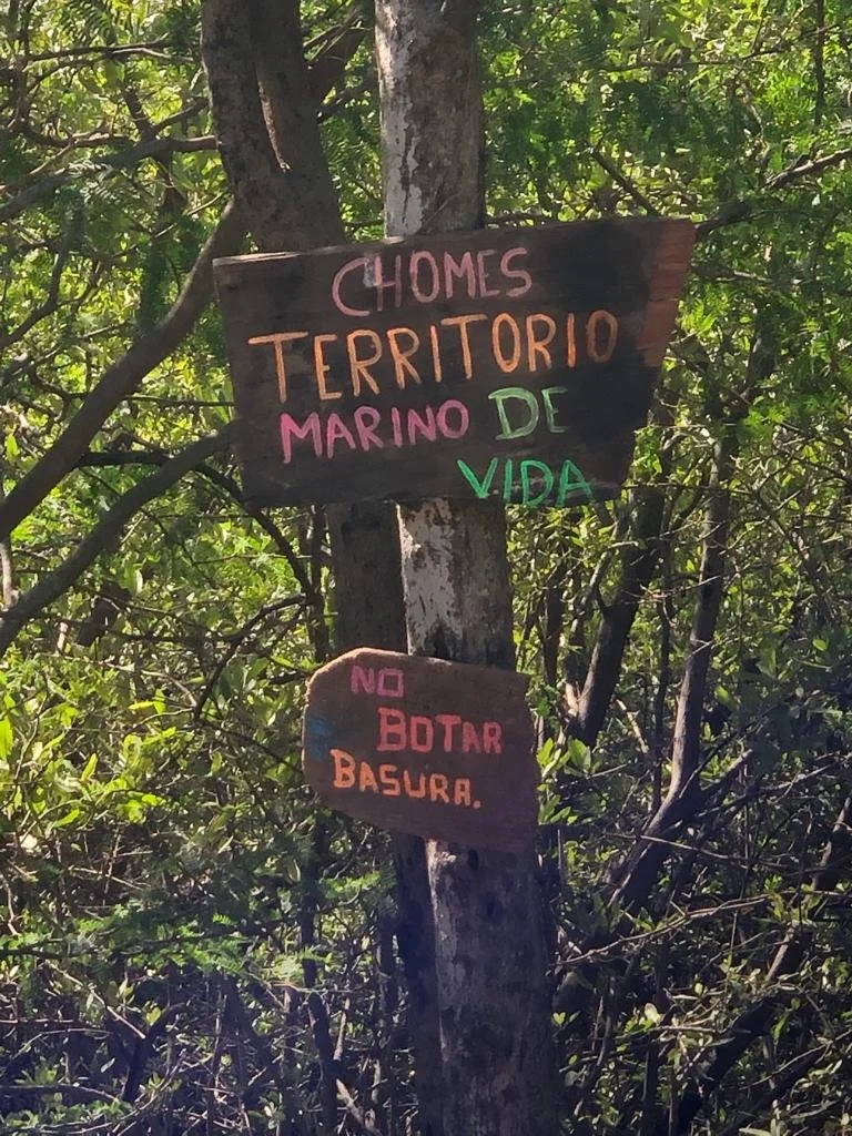 Fotografías de la visita a la cooperativa de mujeres molusqueras de Coopechomes en Costa Rica. 3ª ASAMBLEA TICCA LATINOAMÉRICA