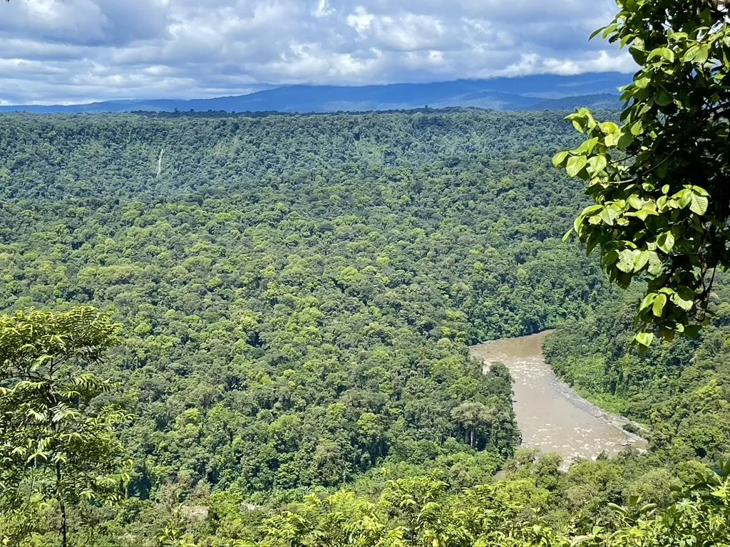 Alternativas justas, sostenibles y de defensa territorial, como estrategias para enfrentar y/o adaptarse a los efectos del cambio climático - Fondo Ñeque