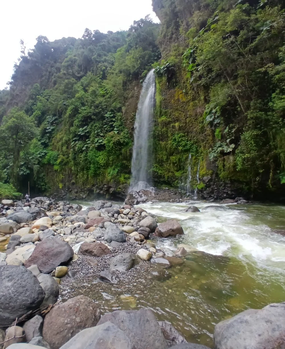 WhatsApp Image 2025-09-04 at 21.32.53(1).jpeg