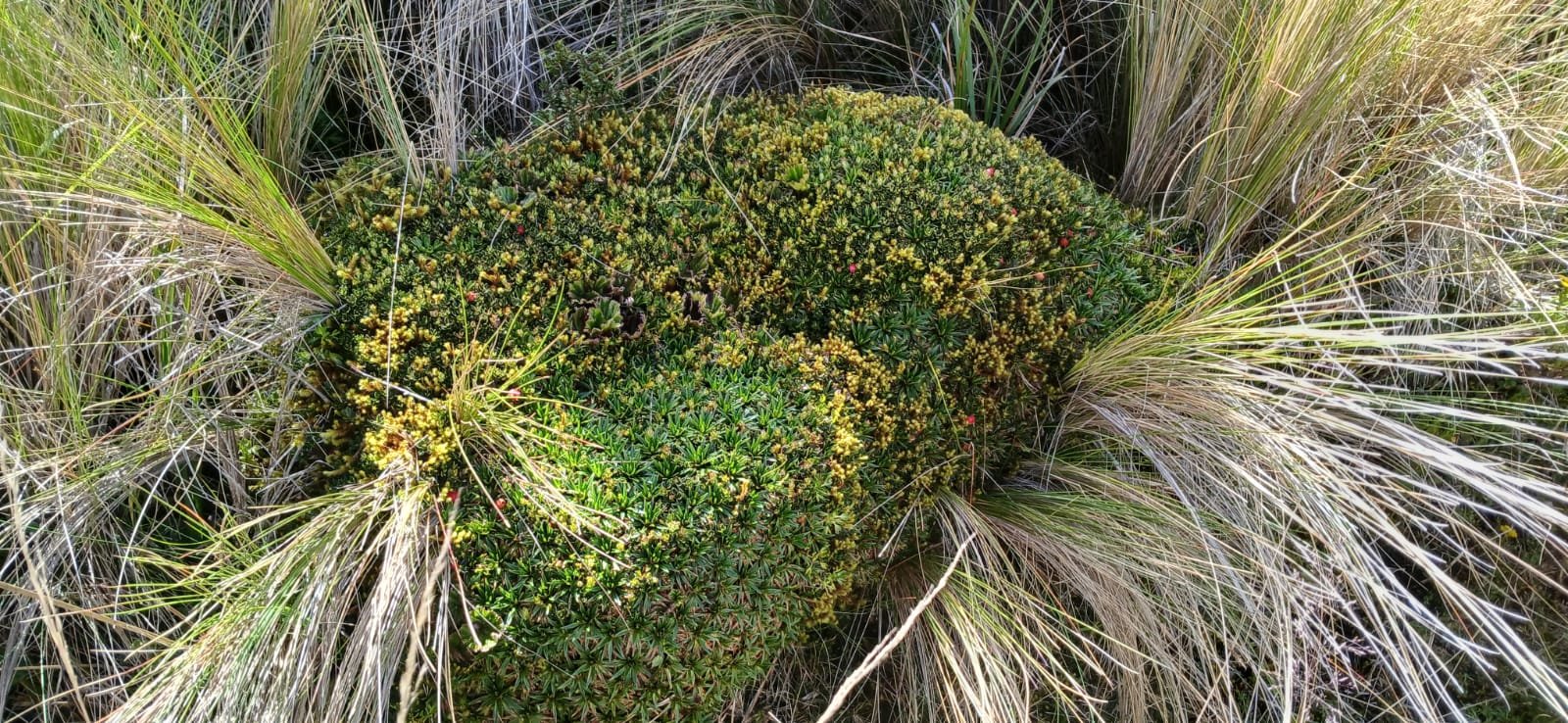 WhatsApp Image 2025-09-04 at 21.25.01.jpeg