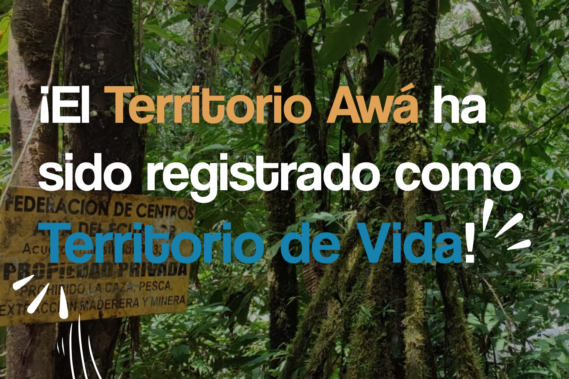 El territorio Awá ha sido registrado como Territorios de Vida