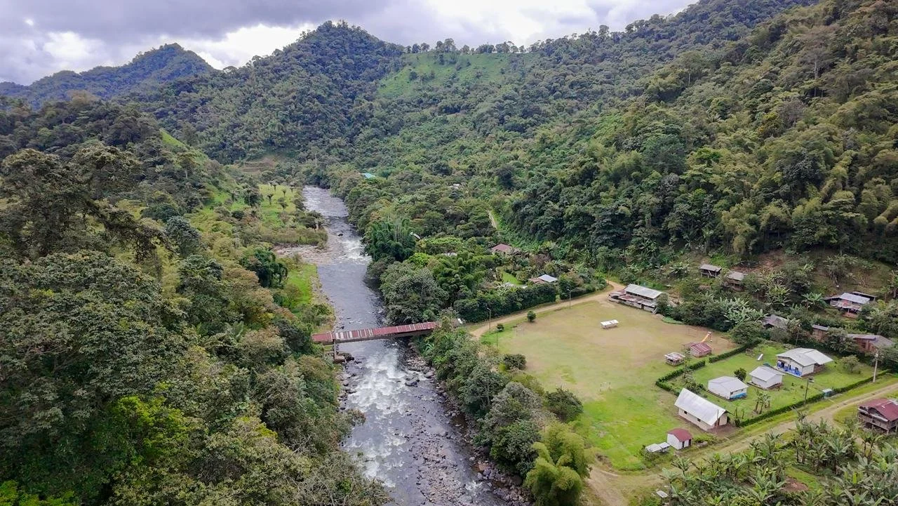 El Río Saloya resiste. La lucha comunitaria en el Chocó Andino para salvar al río de daños ambientales irreparables