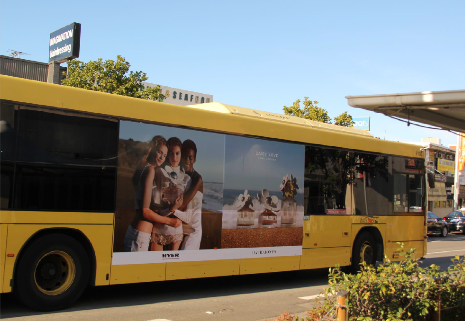 DAISY LOVE Picture4.png